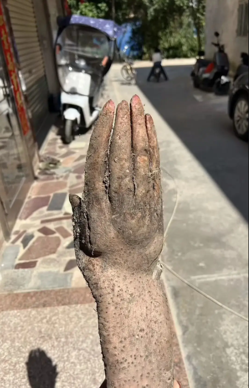 Đào được nguyên "bàn tay" trong vườn nhà, cụ ông hốt hoảng khi có người trả tới 28 triệu đồng để sở hữu - Ảnh 2.