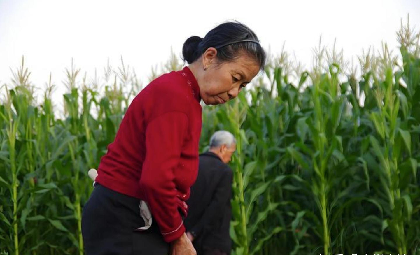 1,7 triệu đồng/th&aacute;ng ở qu&ecirc; vẫn sống thoải m&aacute;i, 10 triệu ở th&agrave;nh phố vẫn hết sạch: C&acirc;u chuyện 2 người mẹ khiến t&ocirc;i hiểu lại b&agrave;i to&aacute;n tiền hưu tr&iacute;- Ảnh 2.