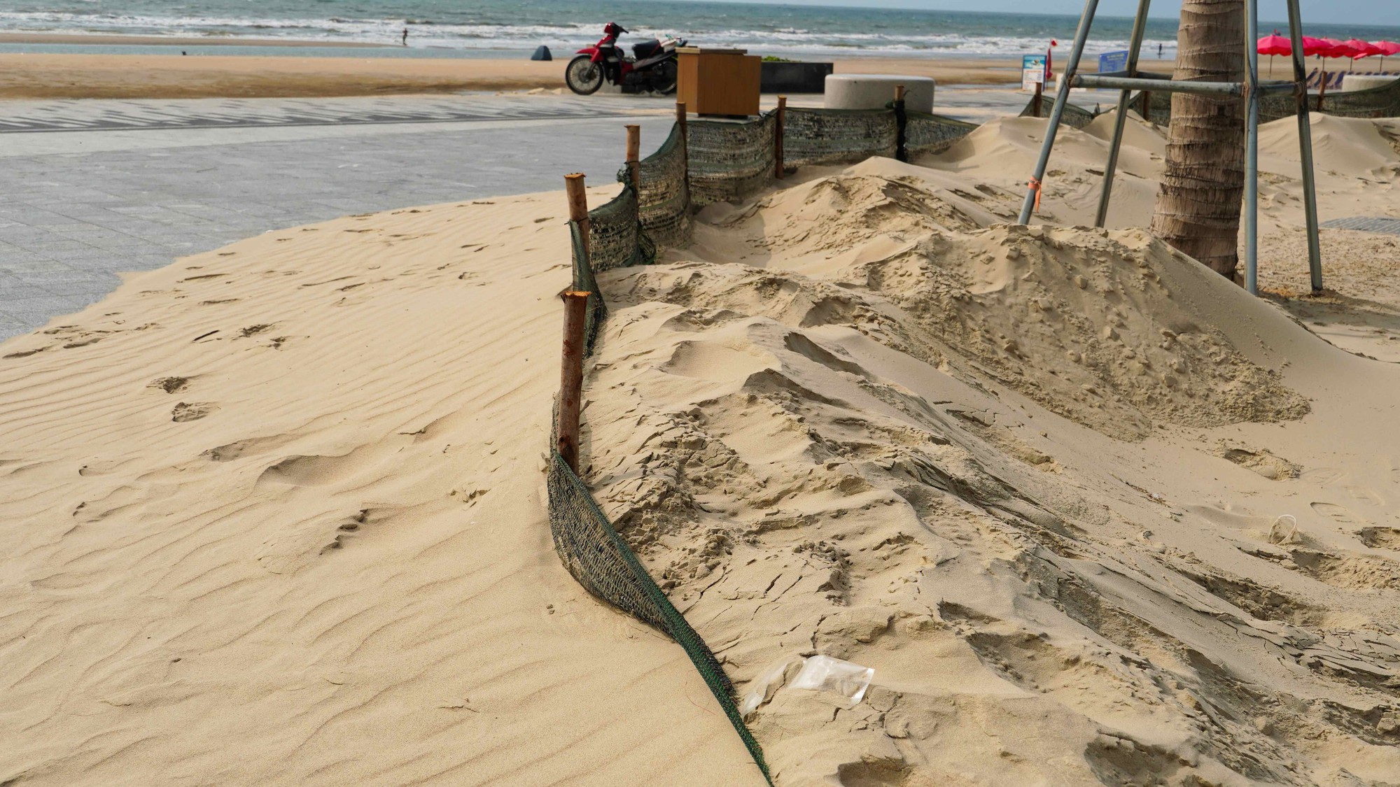 Giải ph&aacute;p xử l&yacute; c&aacute;t bay tại c&ocirc;ng vi&ecirc;n B&atilde;i sau Vũng T&agrave;u năm 2026 - Ảnh 7.