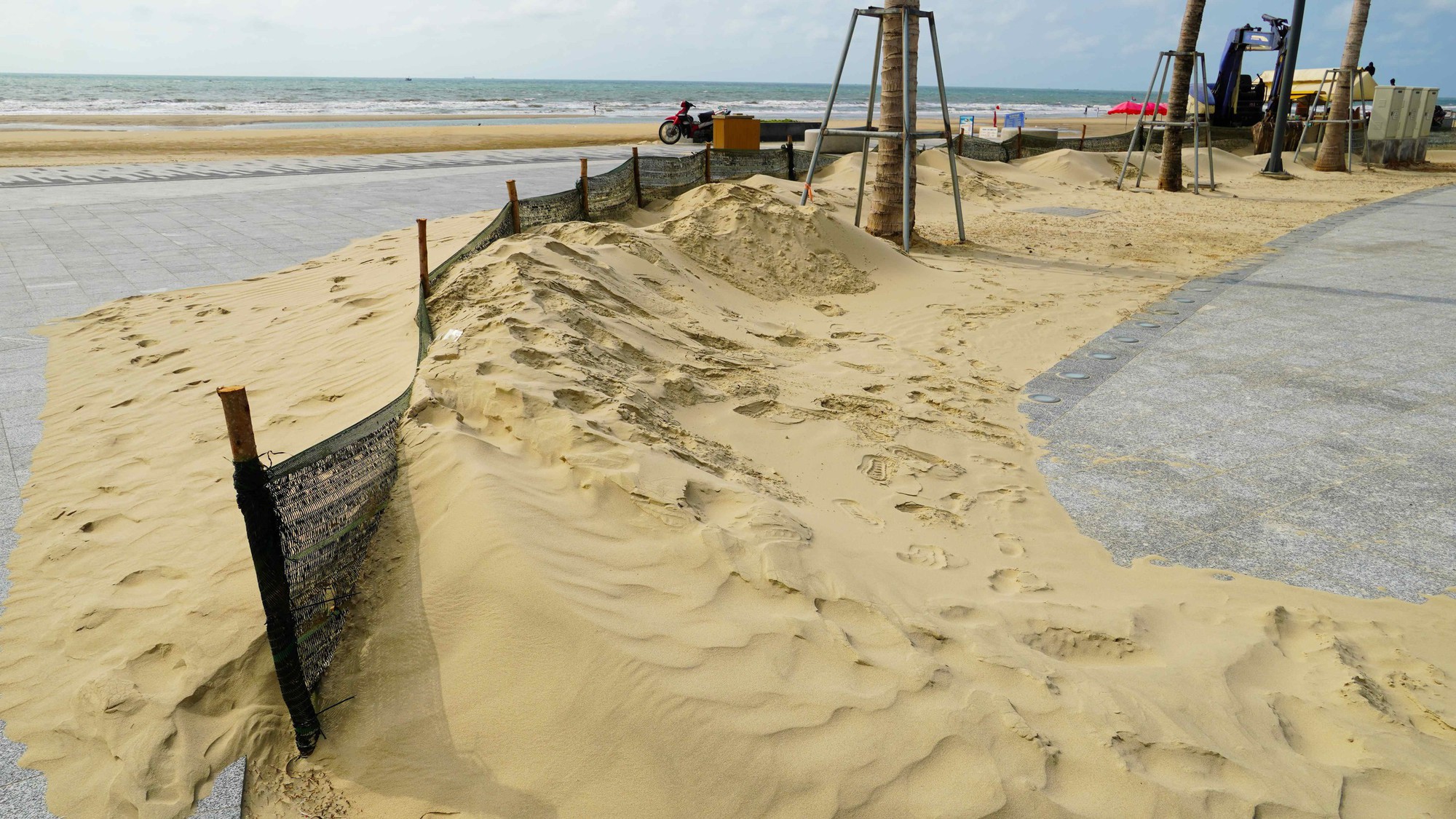 Giải ph&aacute;p xử l&yacute; c&aacute;t bay tại c&ocirc;ng vi&ecirc;n B&atilde;i sau Vũng T&agrave;u năm 2026 - Ảnh 1.