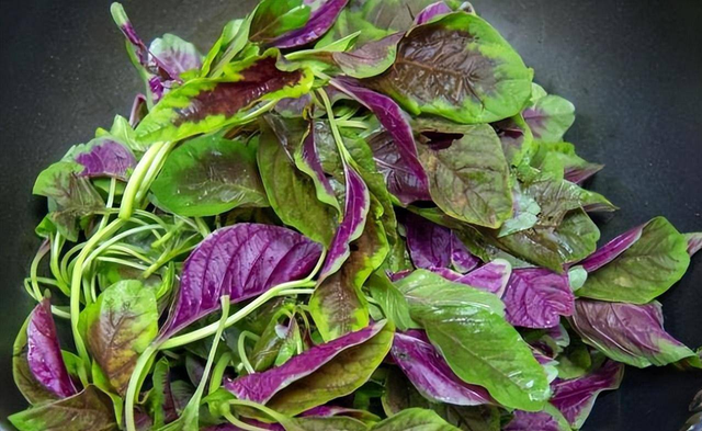 5 loại rau rất &iacute;t bị phun thuốc trừ s&acirc;u, ăn cực ngon miệng, chợ Việt b&aacute;n chỉ v&agrave;i ng&agrave;n một mớ- Ảnh 1.