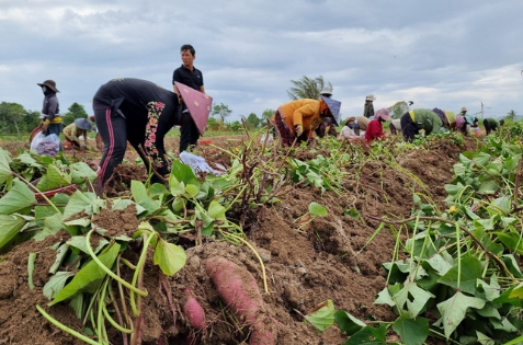 Việt Nam vừa đ&oacute;n một tin vui từ Nhật Bản - Ảnh 1.