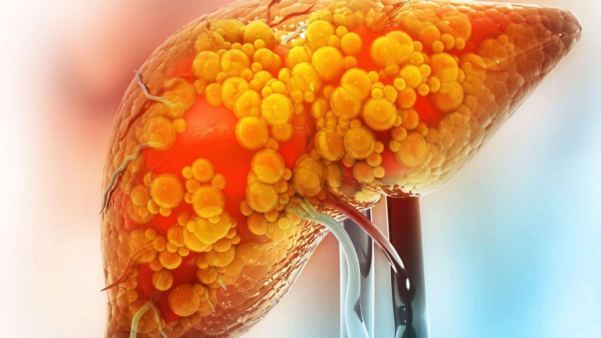 - Ảnh 1. - Ảnh 1.