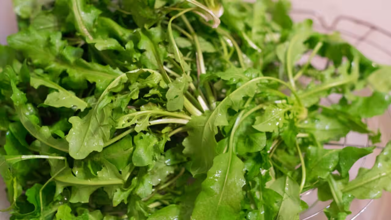 5 loại rau rẻ b&egrave;o gi&uacute;p k&iacute;ch th&iacute;ch mọc t&oacute;c, bồi bổ gan lại l&agrave;m đẹp da mặt, chợ Việt n&agrave;o cũng c&oacute; b&aacute;n - Ảnh 4.