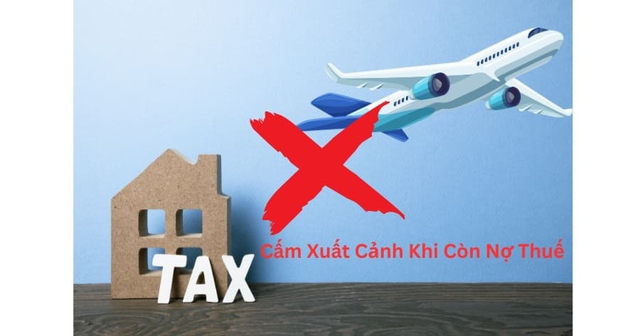 Tạm hoãn xuất cảnh 20 Giám đốc, Chủ hộ kinh doanh - Ảnh 1.