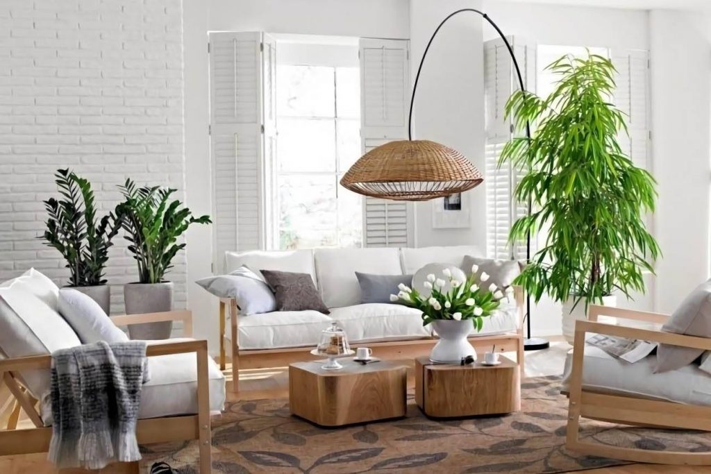 7 loại c&acirc;y đặt đ&uacute;ng chỗ l&agrave; "k&eacute;o tiền về": Nhiều người trồng sai n&ecirc;n kh&ocirc;ng gi&agrave;u l&ecirc;n được - Ảnh 1.