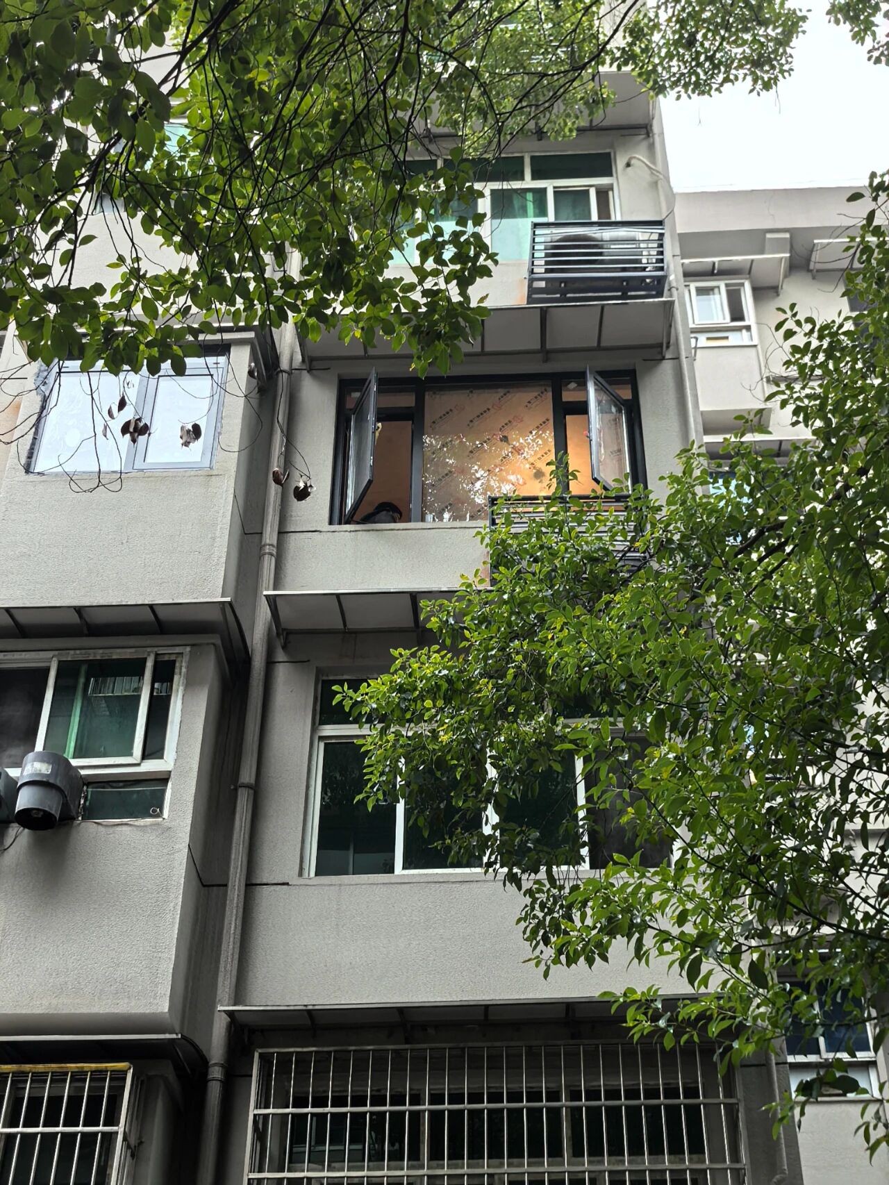 T&ocirc;i rời căn hộ c&oacute; thang m&aacute;y để về sống ở khu phố cũ: Sau 1 năm, t&ocirc;i chỉ tiếc đ&atilde; chuyển đi qu&aacute; muộn - Ảnh 1.