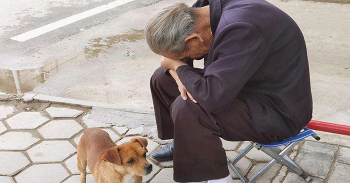 Con c&aacute;i học thức c&agrave;ng cao, lớn l&ecirc;n c&agrave;ng dễ... "bất hiếu" - Topic đang g&acirc;y tranh luận, bạn nghĩ sao?- Ảnh 1.