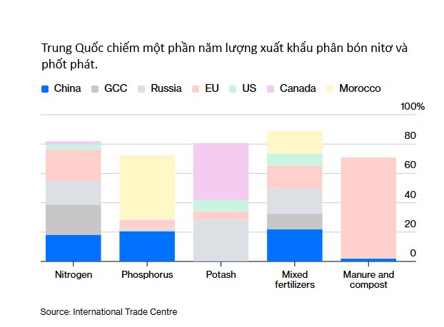 Kh&ocirc;ng phải dầu mỏ, một mặt h&agrave;ng kh&aacute;c đang thiếu hụt c&oacute; nguy cơ l&agrave;m rung chuyển ng&agrave;nh thực phẩm to&agrave;n cầu, Trung Quốc 'ngư &ocirc;ng đắc lợi' - Ảnh 2.