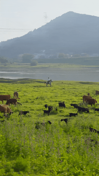 X&acirc;y nh&agrave; dưỡng l&atilde;o cho bố mẹ: C&acirc;u chuyện cảm động của người đ&agrave;n &ocirc;ng 30 tuổi - Ảnh 18.