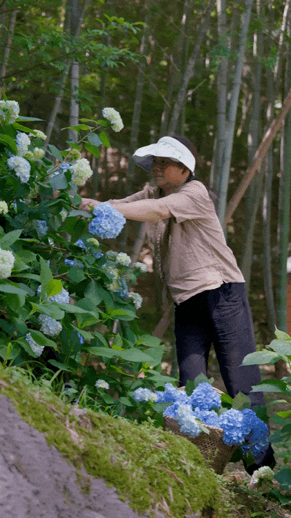 X&acirc;y nh&agrave; dưỡng l&atilde;o cho bố mẹ: C&acirc;u chuyện cảm động của người đ&agrave;n &ocirc;ng 30 tuổi - Ảnh 16.
