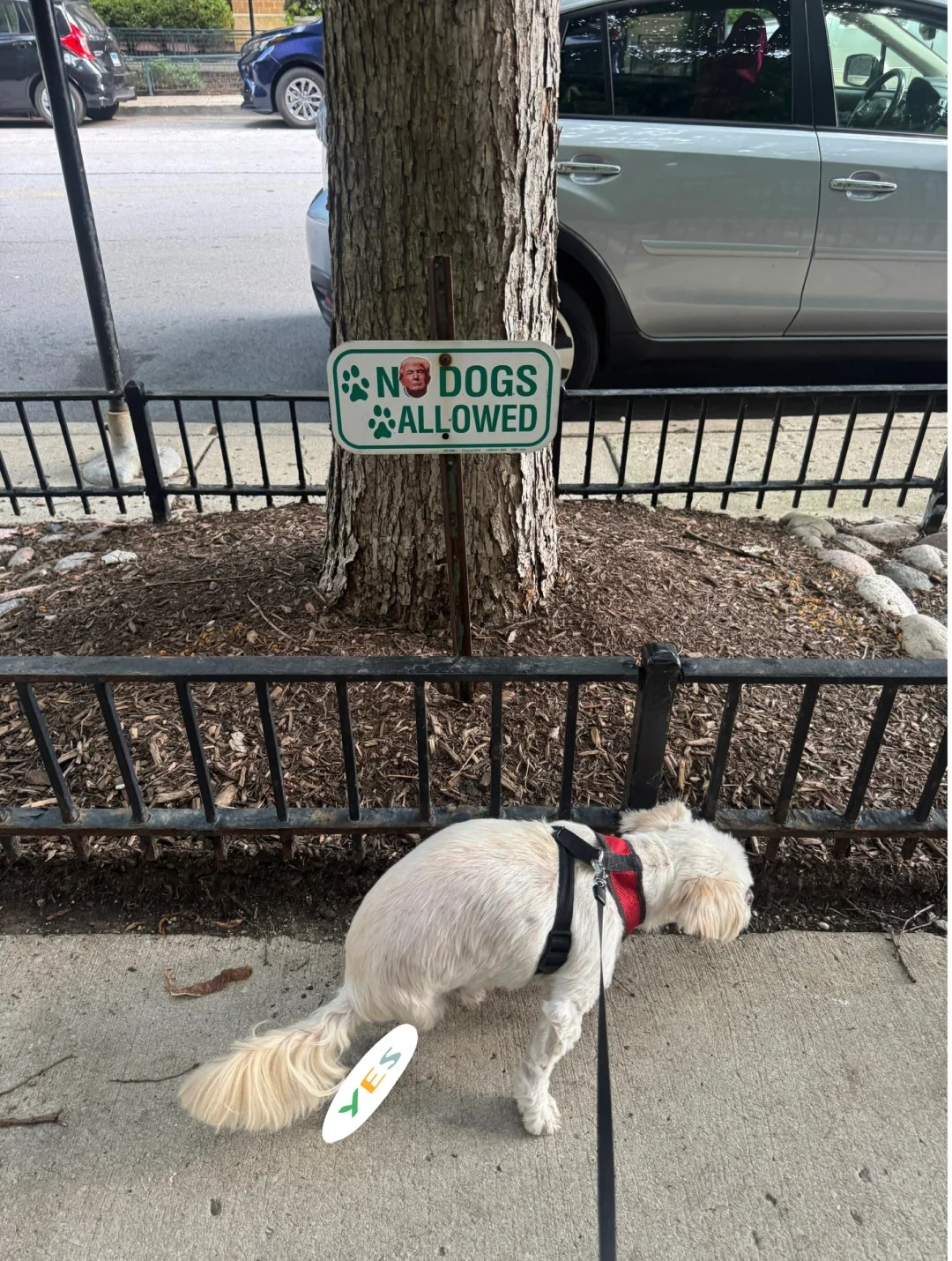 Kh&aacute;m ph&aacute; b&iacute; quyết sống thoải m&aacute;i sau khi nghỉ hưu - Ảnh 15.