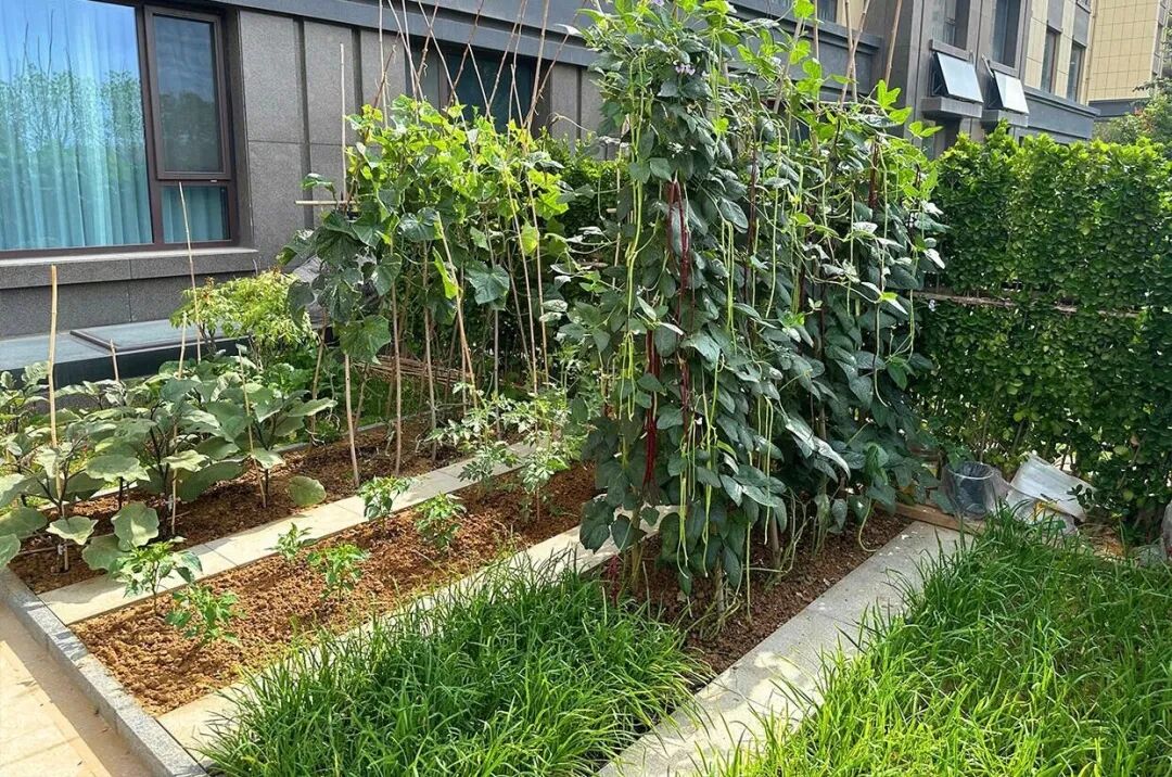 Tưởng l&agrave; keo kiệt, nhưng 10 th&oacute;i quen của người d&igrave; 60 tuổi lại gi&uacute;p b&agrave; kh&ocirc;ng bao giờ &aacute;p lực tiền bạc- Ảnh 1.