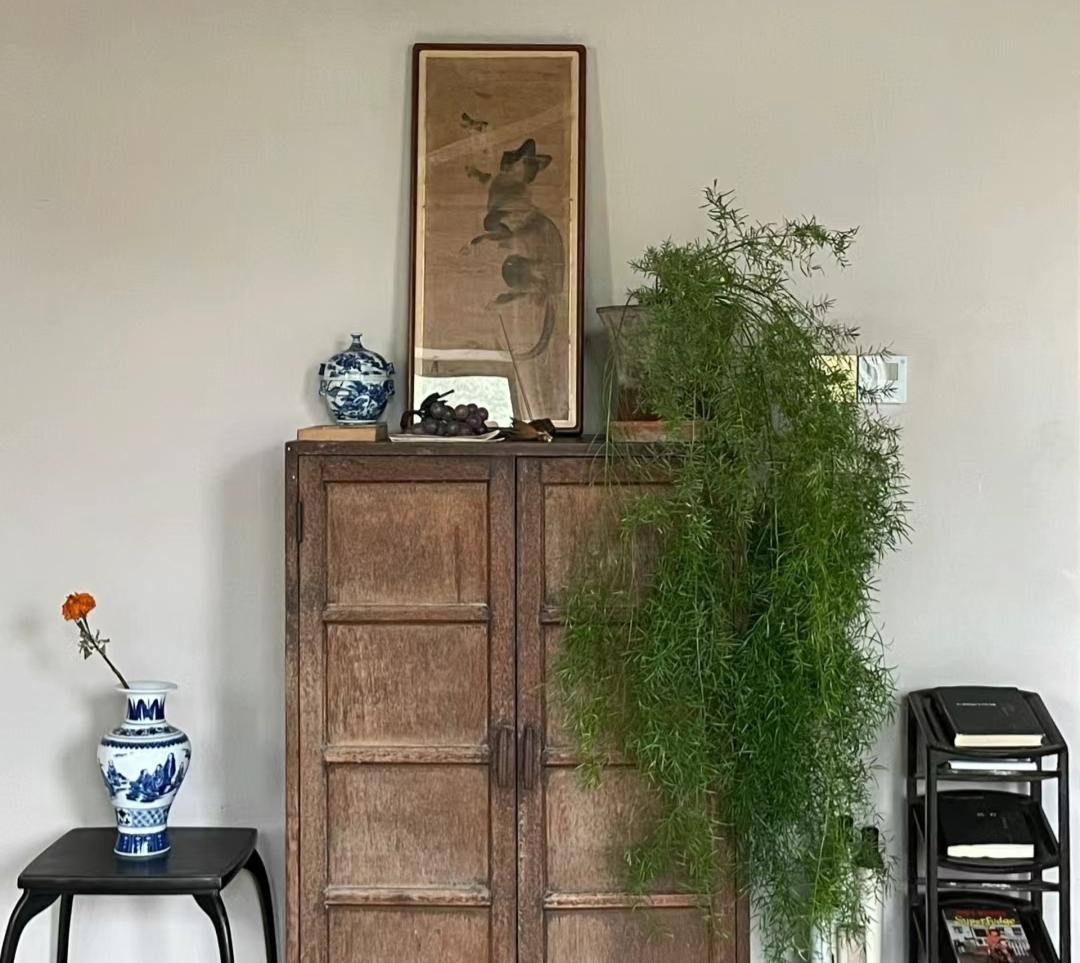 N&acirc;ng cấp ph&ograve;ng kh&aacute;ch thượng lưu với 8 c&acirc;y xanh thần chi&ecirc;u t&agrave;i h&uacute;t lộc - Ảnh 7.