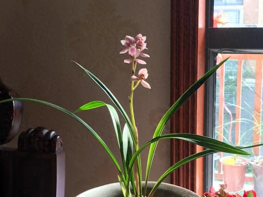 10 lo&agrave;i hoa thơm ph&aacute;t đi&ecirc;n: M&ugrave;i hương độc nhất thi&ecirc;n hạ, đến thợ điều chế nước hoa cũng kh&ocirc;ng thể bắt chước - Ảnh 1.