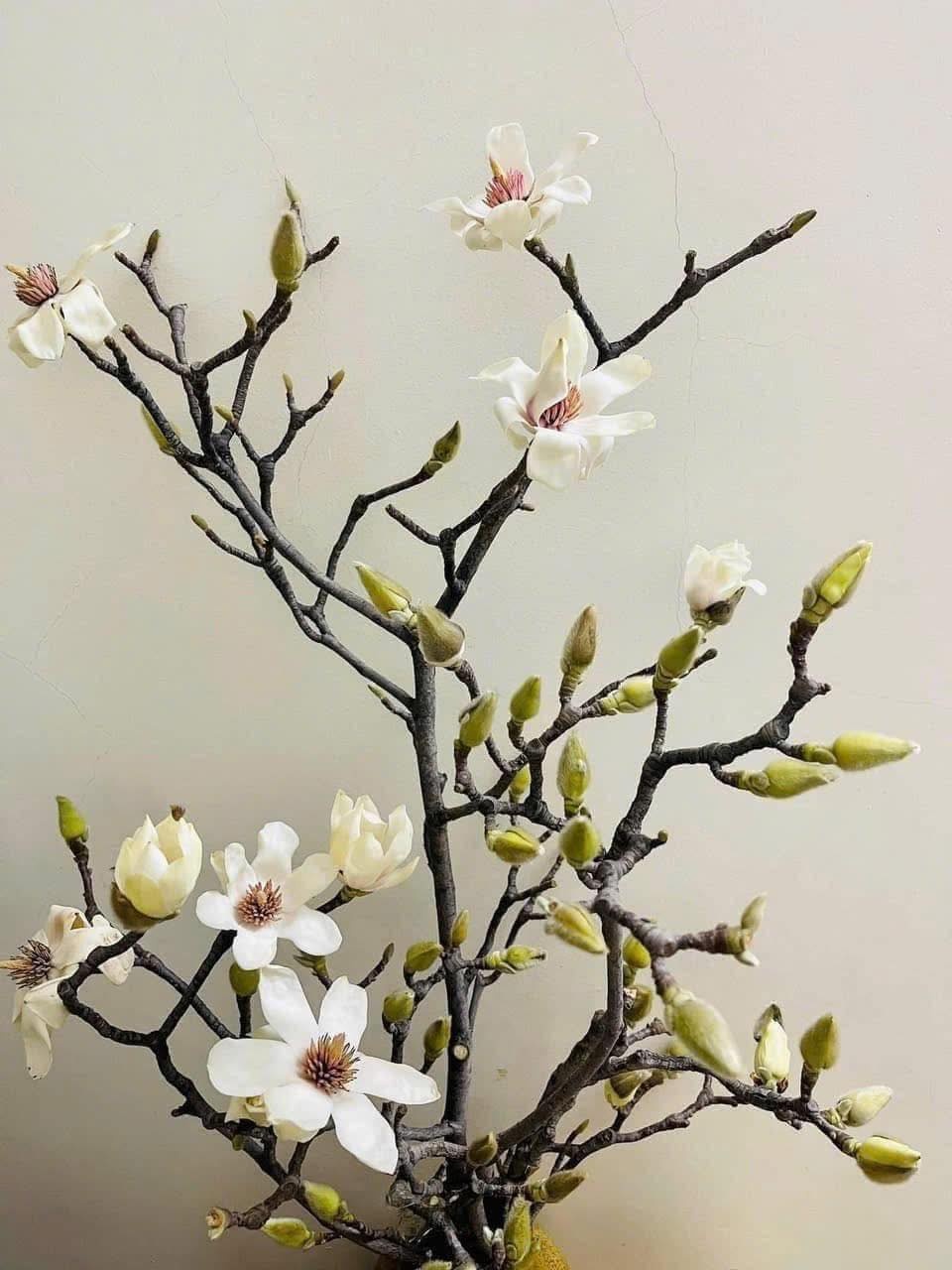 10 lo&agrave;i hoa thơm ph&aacute;t đi&ecirc;n: M&ugrave;i hương độc nhất thi&ecirc;n hạ, đến thợ điều chế nước hoa cũng kh&ocirc;ng thể bắt chước - Ảnh 3.