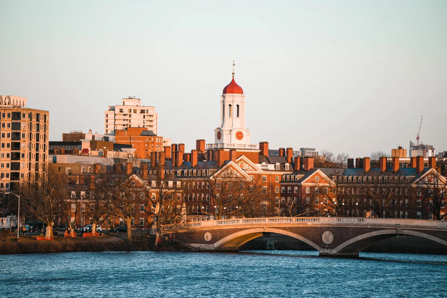 Harvard vs MIT: Trường n&agrave;o kh&oacute; v&agrave;o hơn?- Ảnh 1.
