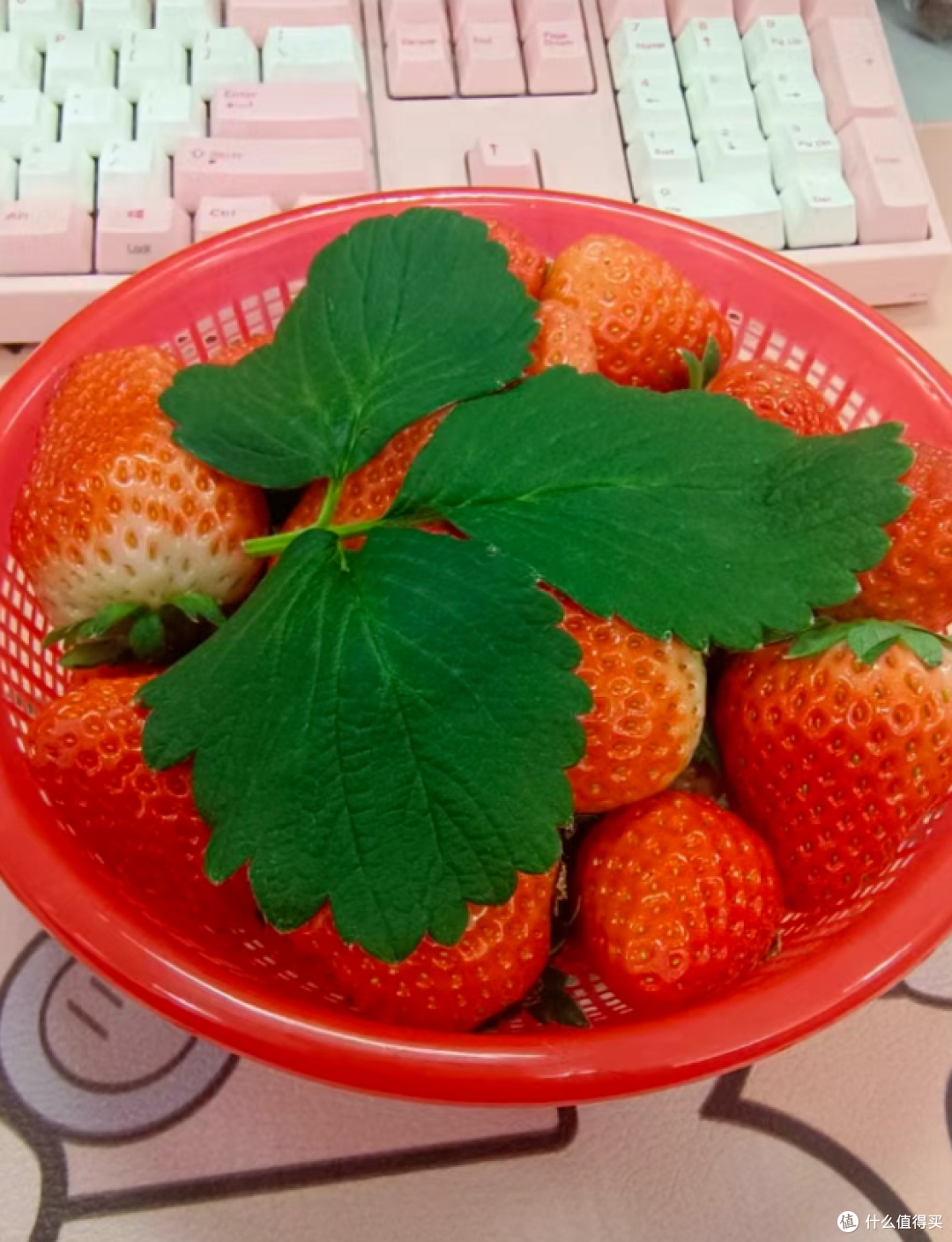 4 vật dụng bẩn trong nh&agrave; bạn cần vứt ngay để bảo vệ sức khỏe  - Ảnh 4.