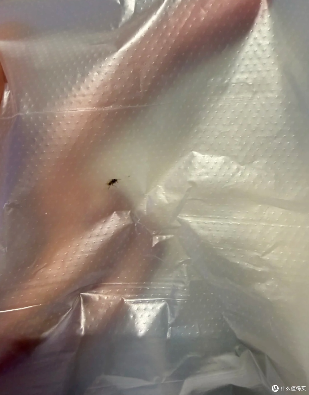 4 vật dụng bẩn trong nh&agrave; bạn cần vứt ngay để bảo vệ sức khỏe  - Ảnh 5.