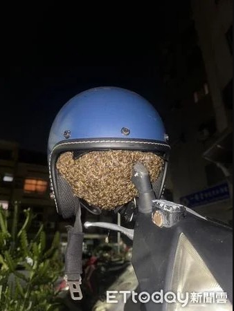 Treo mũ bảo hiểm qua đêm, người phụ nữ "lạnh sống lưng" khi phát hiện thứ đang động đậy bên trong - Ảnh 1.