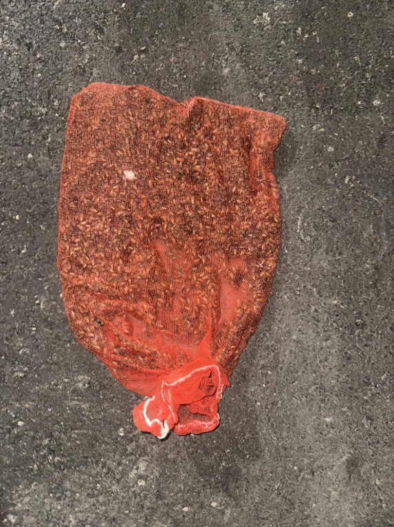 Treo mũ bảo hiểm qua đêm, người phụ nữ "lạnh sống lưng" khi phát hiện thứ đang động đậy bên trong - Ảnh 2.