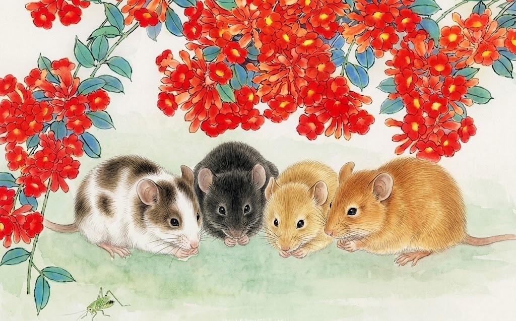 4 Con gi&aacute;p hốt bạc nửa đầu năm 2026 với t&acirc;m thế vững v&agrave;ng - Ảnh 2.