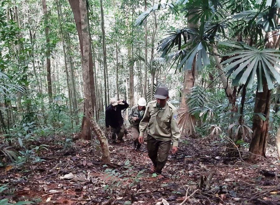 Kh&aacute;m ph&aacute; Vườn Quốc gia Chư Mom Ray - kho B&aacute;u động vật q&uacute;y hiếm T&acirc;y Nguy&ecirc;n - Ảnh 4.