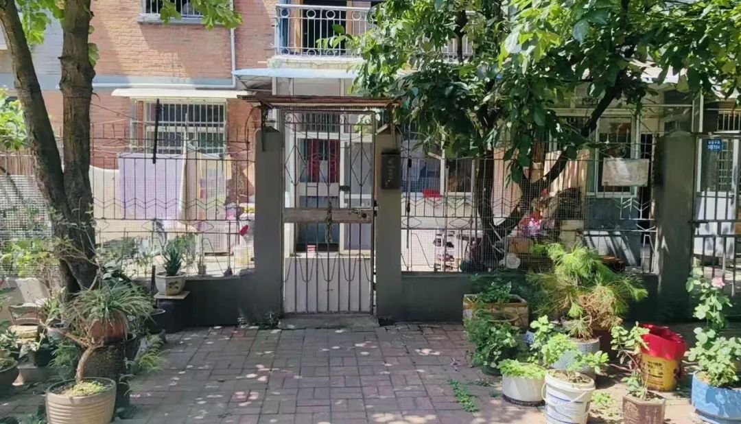 Bất chấp lời can ngăn, t&ocirc;i mua căn hộ tầng 1 cũ kỹ kh&ocirc;ng ai muốn: Sau 1 năm sống, t&ocirc;i hiểu v&igrave; sao n&oacute; bị ch&ecirc; - Ảnh 1.