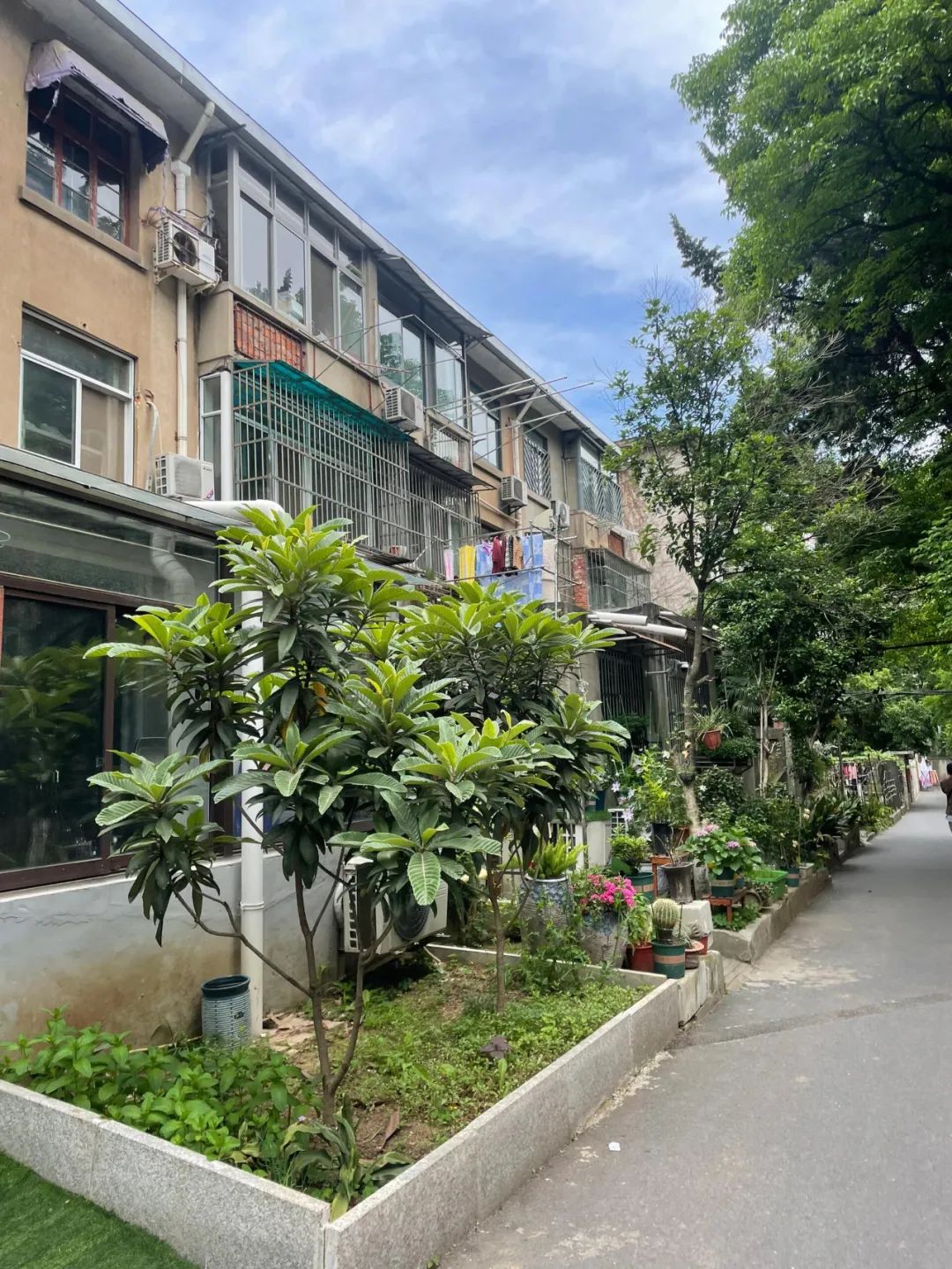 Bất chấp lời can ngăn, t&ocirc;i mua căn hộ tầng 1 cũ kỹ kh&ocirc;ng ai muốn: Sau 1 năm sống, t&ocirc;i hiểu v&igrave; sao n&oacute; bị ch&ecirc; - Ảnh 5.