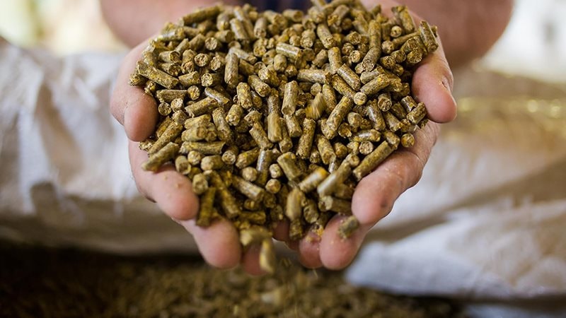 'Mỏ v&agrave;ng' 250 triệu USD: Loại mặt h&agrave;ng 'phụ phẩm' của Việt Nam đang được Trung Quốc săn đ&oacute;n r&aacute;o riết - Ảnh 1.