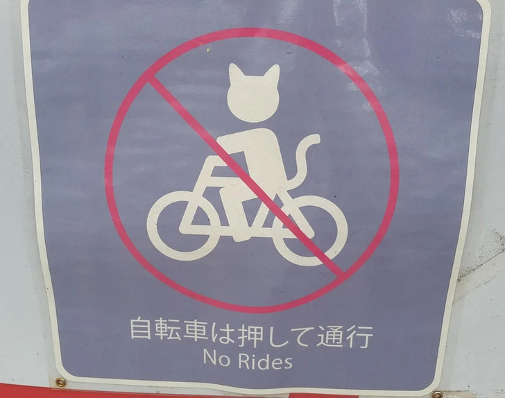 13 Bức ảnh độc đ&aacute;o tại Nhật Bản khiến bạn nghĩ rằng đ&acirc;y kh&ocirc;ng phải h&agrave;nh tinh của ch&uacute;ng ta - Ảnh 10.