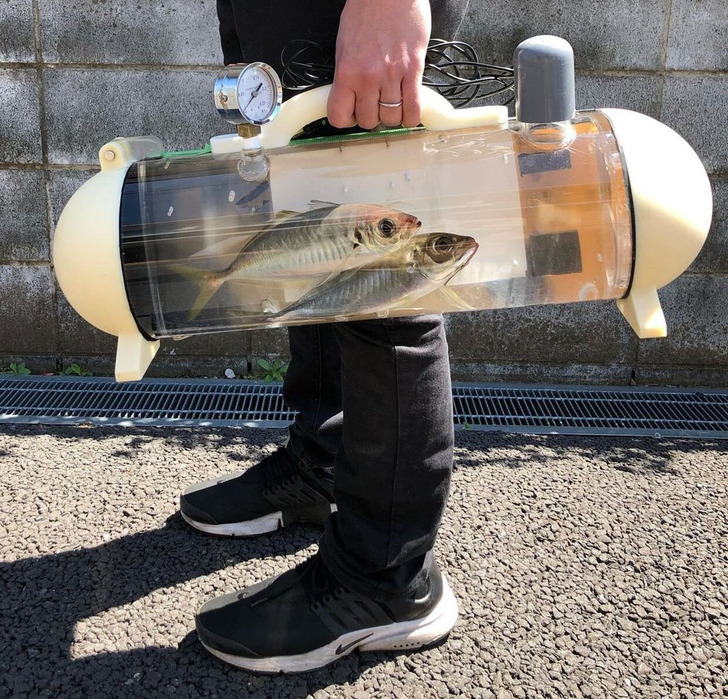 13 Bức ảnh độc đ&aacute;o tại Nhật Bản khiến bạn nghĩ rằng đ&acirc;y kh&ocirc;ng phải h&agrave;nh tinh của ch&uacute;ng ta - Ảnh 2.