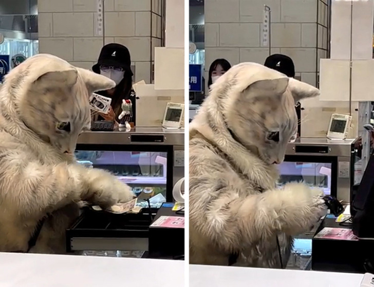 13 Bức ảnh độc đ&aacute;o tại Nhật Bản khiến bạn nghĩ rằng đ&acirc;y kh&ocirc;ng phải h&agrave;nh tinh của ch&uacute;ng ta - Ảnh 3.