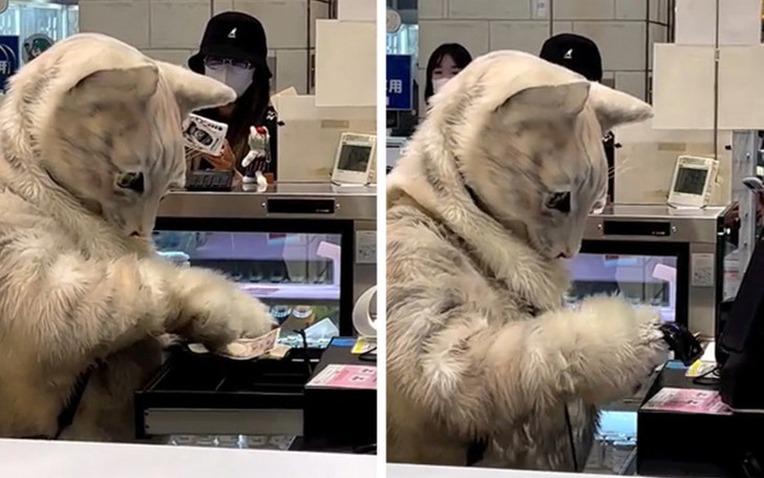 13 Bức ảnh độc đ&aacute;o tại Nhật Bản khiến bạn nghĩ rằng đ&acirc;y kh&ocirc;ng phải h&agrave;nh tinh của ch&uacute;ng ta - Ảnh 1.