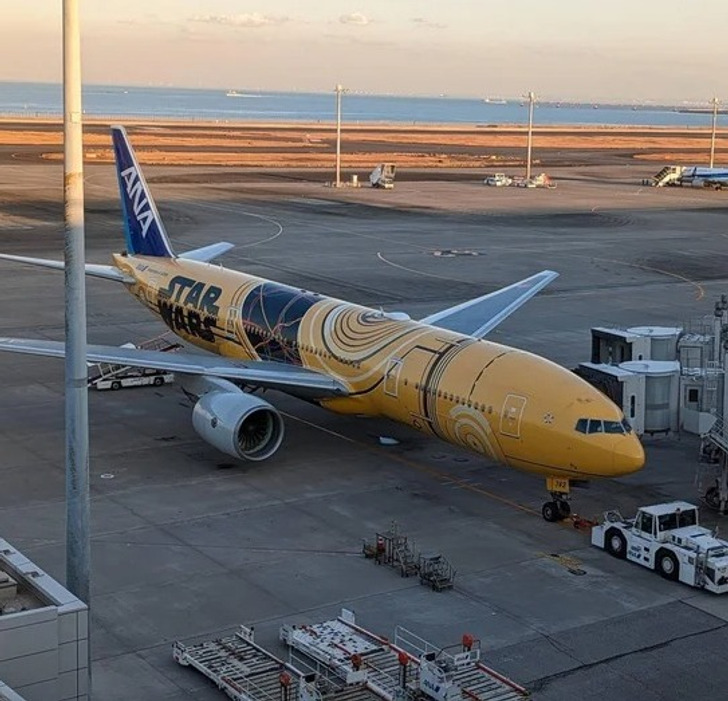 13 Bức ảnh độc đ&aacute;o tại Nhật Bản khiến bạn nghĩ rằng đ&acirc;y kh&ocirc;ng phải h&agrave;nh tinh của ch&uacute;ng ta - Ảnh 5.