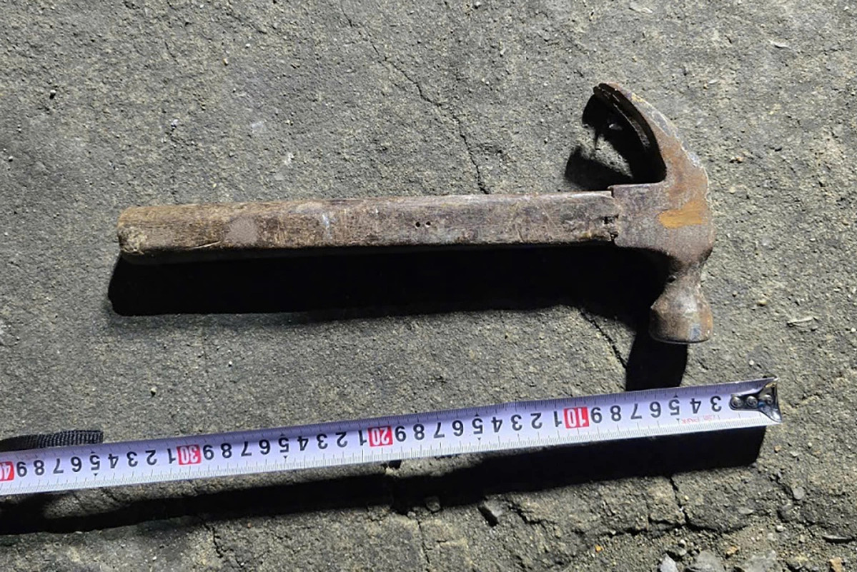 - Ảnh 2. - Ảnh 2.