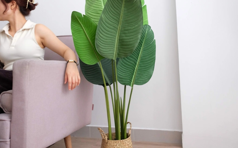 3 c&acirc;y dụ rắn v&agrave;o nh&agrave; v&agrave; 2 c&acirc;y khiến rắn sợ h&atilde;i bạn kh&ocirc;ng n&ecirc;n bỏ qua - Ảnh 2.