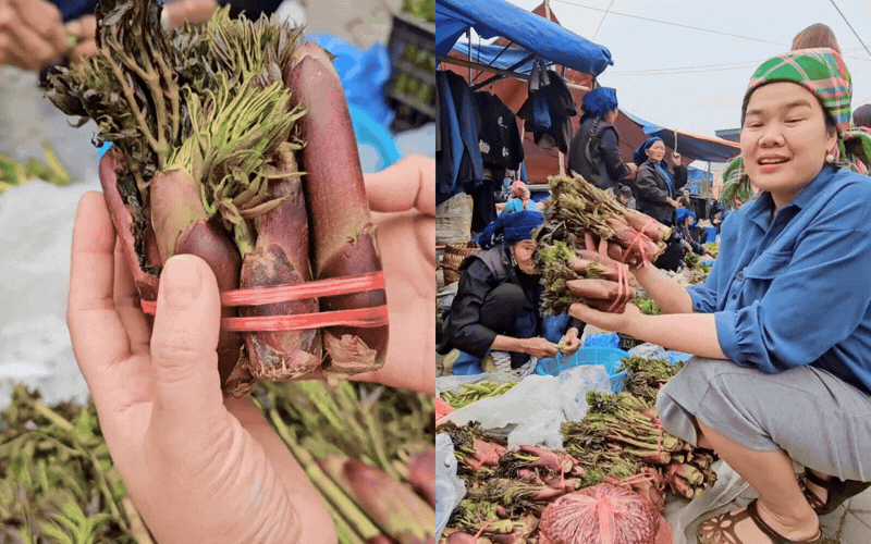 Thứ rau đặc sản lạ l&ugrave;ng ở chợ phi&ecirc;n Y T&yacute;: Ngoại h&igrave;nh "từ chối hiểu" nhưng x&agrave;o tỏi lại si&ecirc;u ngon, lỡ dịp l&agrave; m&ograve;n mỏi đợi sang năm- Ảnh 1.