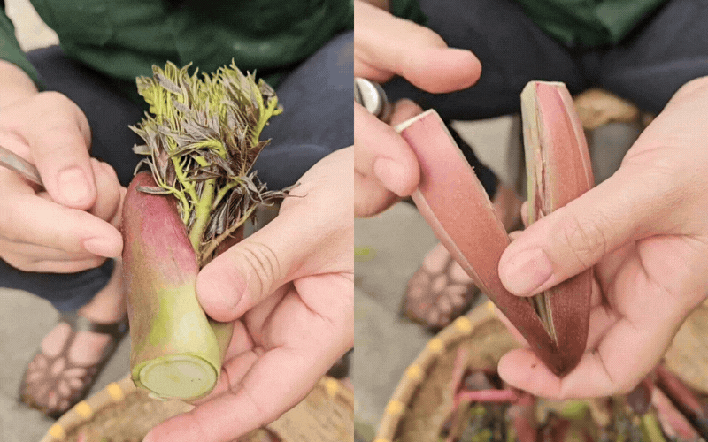 Thứ rau đặc sản lạ l&ugrave;ng ở chợ phi&ecirc;n Y T&yacute;: Ngoại h&igrave;nh "từ chối hiểu" nhưng x&agrave;o tỏi lại si&ecirc;u ngon, lỡ dịp l&agrave; m&ograve;n mỏi đợi sang năm- Ảnh 15.