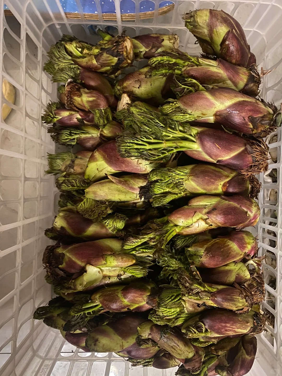 Thứ rau đặc sản lạ l&ugrave;ng ở chợ phi&ecirc;n Y T&yacute;: Ngoại h&igrave;nh "từ chối hiểu" nhưng x&agrave;o tỏi lại si&ecirc;u ngon, lỡ dịp l&agrave; m&ograve;n mỏi đợi sang năm- Ảnh 12.