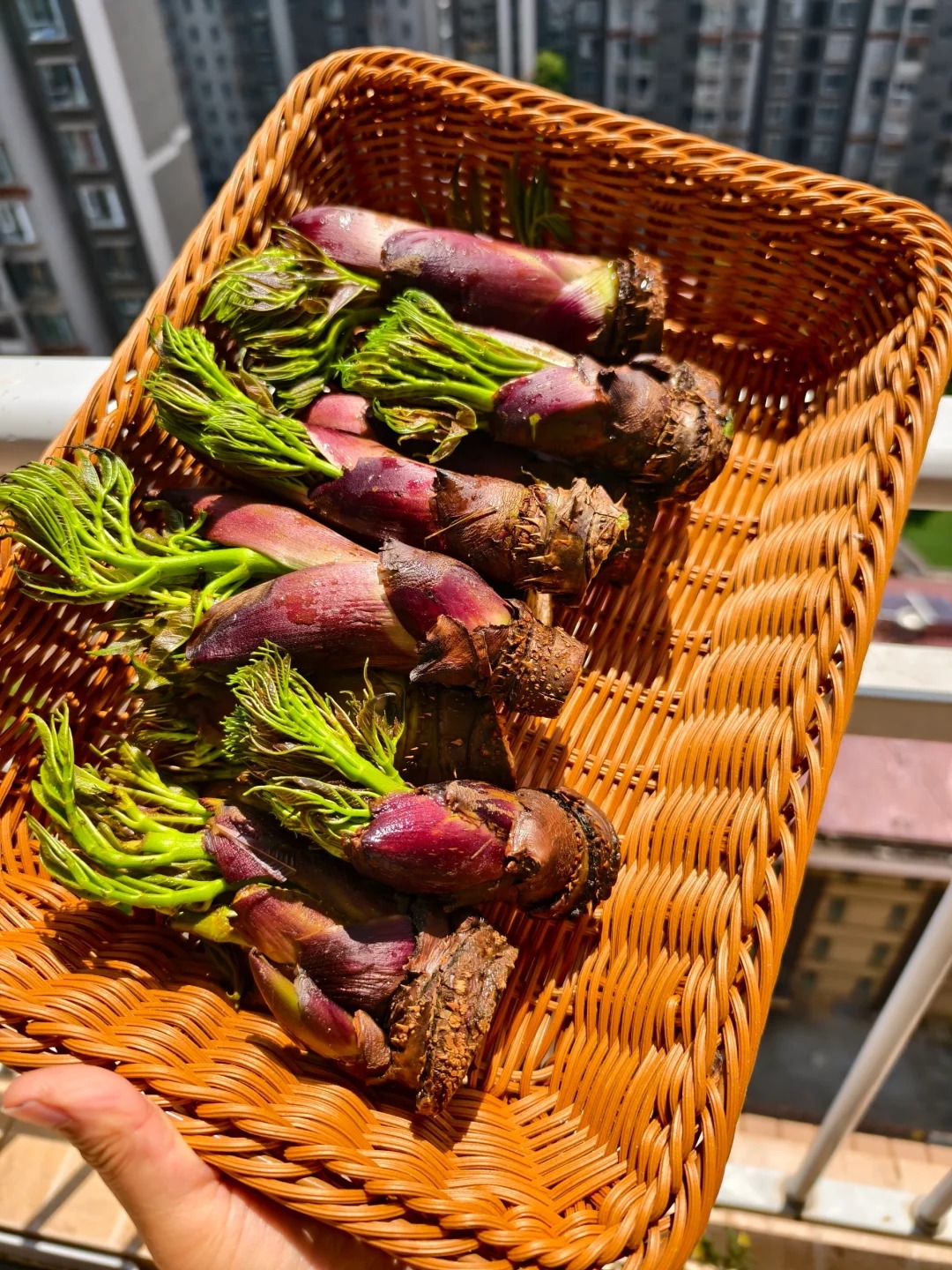 Thứ rau đặc sản lạ l&ugrave;ng ở chợ phi&ecirc;n Y T&yacute;: Ngoại h&igrave;nh "từ chối hiểu" nhưng x&agrave;o tỏi lại si&ecirc;u ngon, lỡ dịp l&agrave; m&ograve;n mỏi đợi sang năm- Ảnh 8.