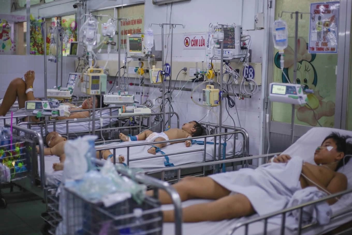 - Ảnh 1. - Ảnh 1.