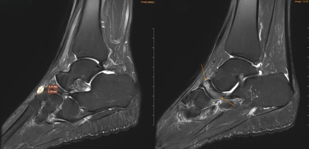 - Ảnh 1. - Ảnh 1.