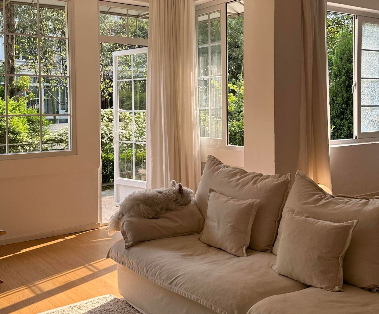 T&ocirc;i rời căn hộ 200m&sup2; ai cũng khen để về nh&agrave; cũ: 6 th&aacute;ng sau mới hiểu thế n&agrave;o l&agrave; sống dễ thở - Ảnh 7.