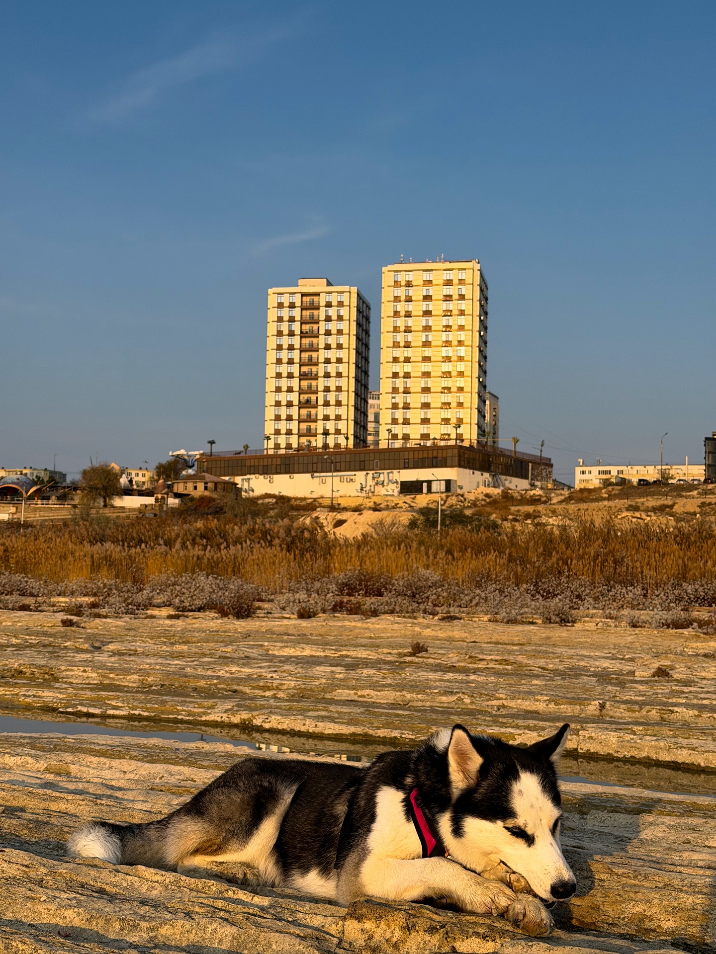Kh&aacute;ch T&acirc;y đi bộ xuy&ecirc;n lục địa nổi tiếng thế giới, giữa đường bất ngờ book v&eacute; m&aacute;y bay đến Việt Nam: L&yacute; do cảm động- Ảnh 6.