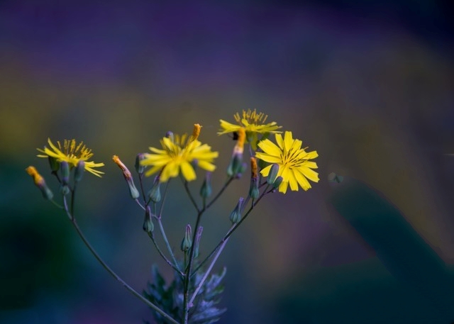 Tảo mộ Thanh Minh: Những điều cần n&oacute;i để người ở lại b&igrave;nh an - Ảnh 2.