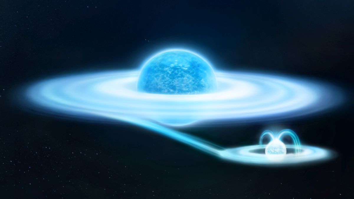 Tín hiệu tia X lạ từ ngôi sao γ Cas được NASA giải mã sau 50 năm - Ảnh 1. Tín hiệu tia X lạ từ ngôi sao γ Cas được NASA giải mã sau 50 năm - Ảnh 1.