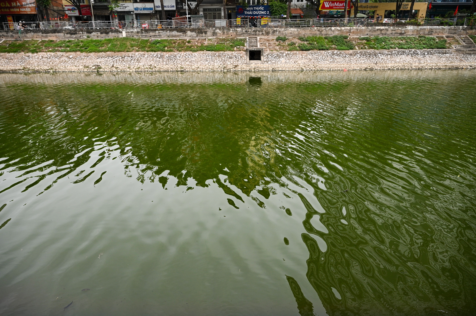 Ảnh, clip: Bất ngờ diện mạo mới của sông Tô Lịch sau khi bơm nước từ Hồ Tây- Ảnh 5. Ảnh, clip: Bất ngờ diện mạo mới của sông Tô Lịch sau khi bơm nước từ Hồ Tây- Ảnh 5.