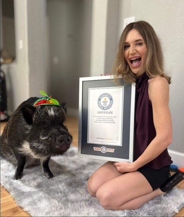 Một ch&uacute; lợn vừa lập kỷ lục Guiness thế giới, lượng follow "b&aacute; đạo", g&acirc;y sốc cộng đồng mạng - Ảnh 3.