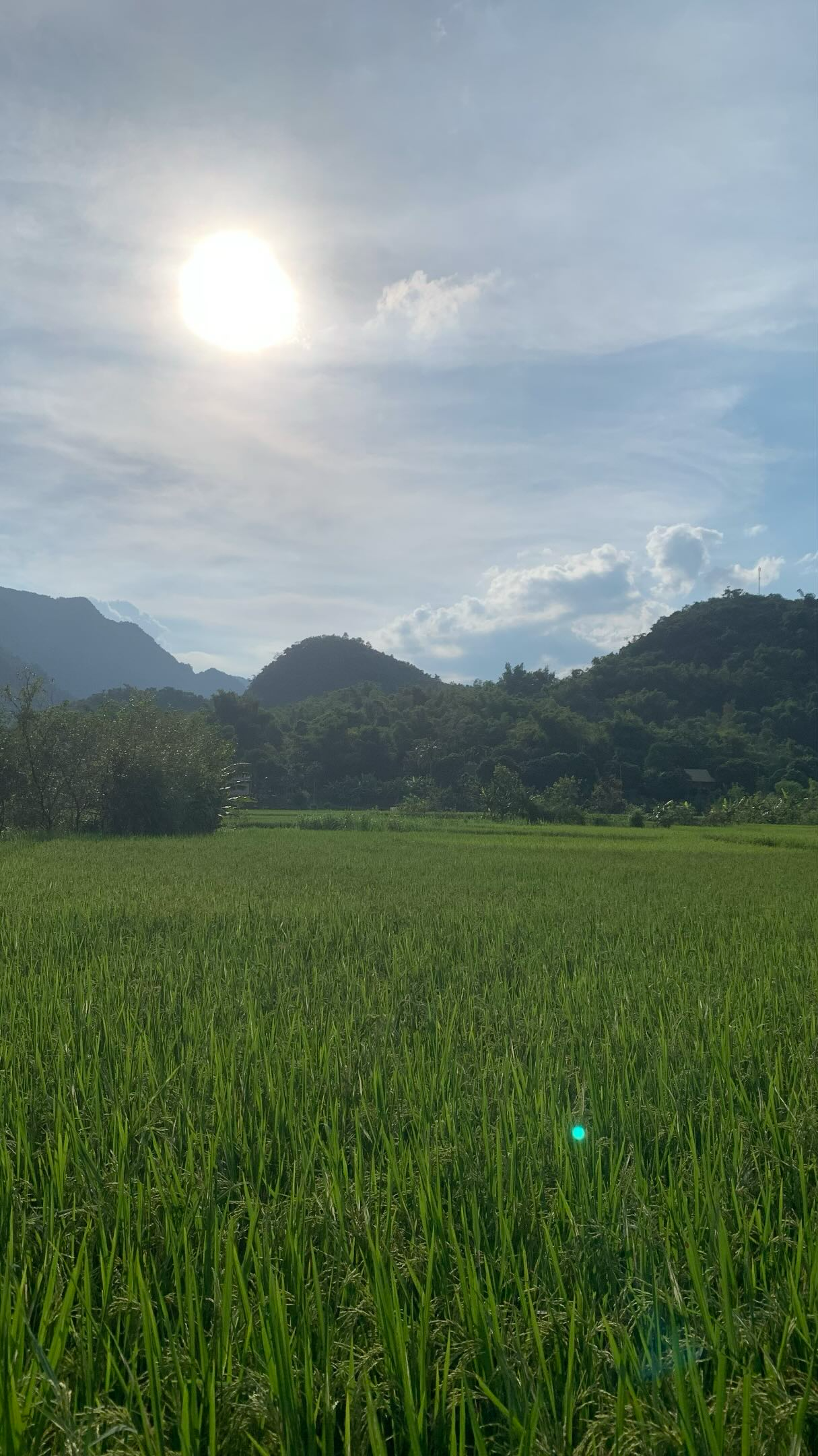 Khách Tây được gả vợ ở Việt Nam: Chuyện hài hước của 1 vị khách - Ảnh 2. Khách Tây được gả vợ ở Việt Nam: Chuyện hài hước của 1 vị khách - Ảnh 2.